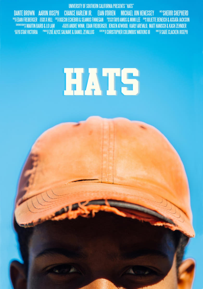 Poster of Hats