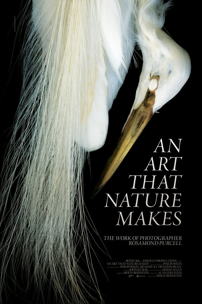 Poster of An Art That Nature Makes: The Work of Rosamond Purcell