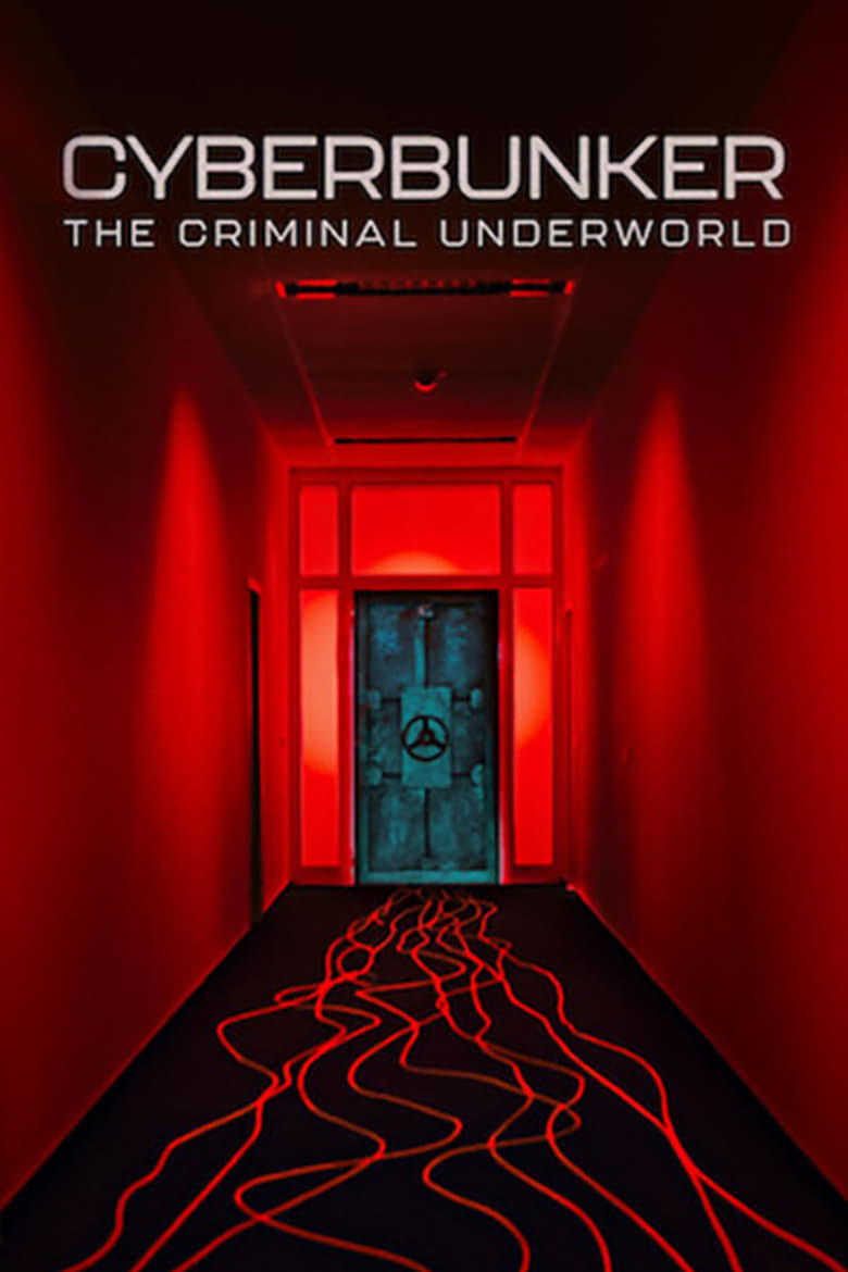 Poster of Cyberbunker: The Criminal Underworld