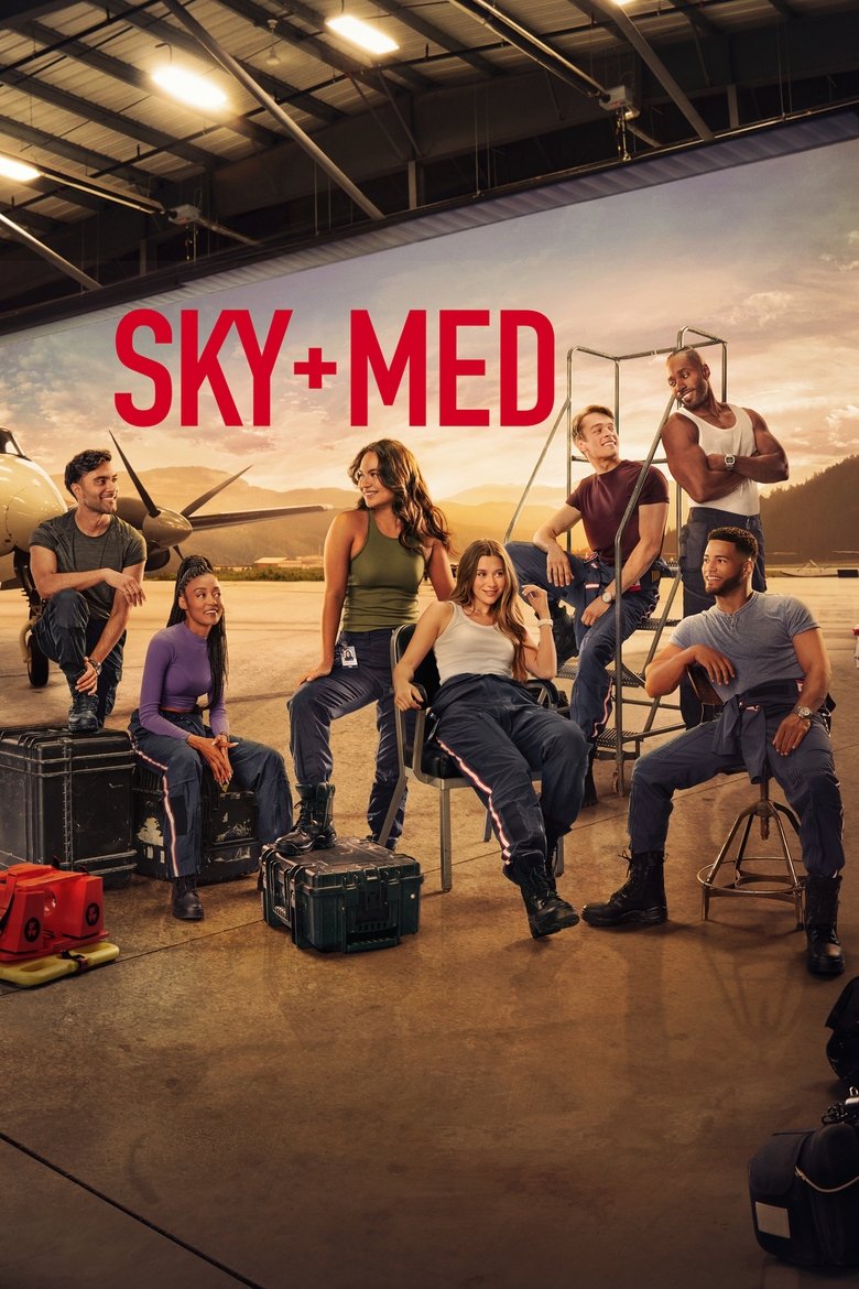 Poster of SkyMed