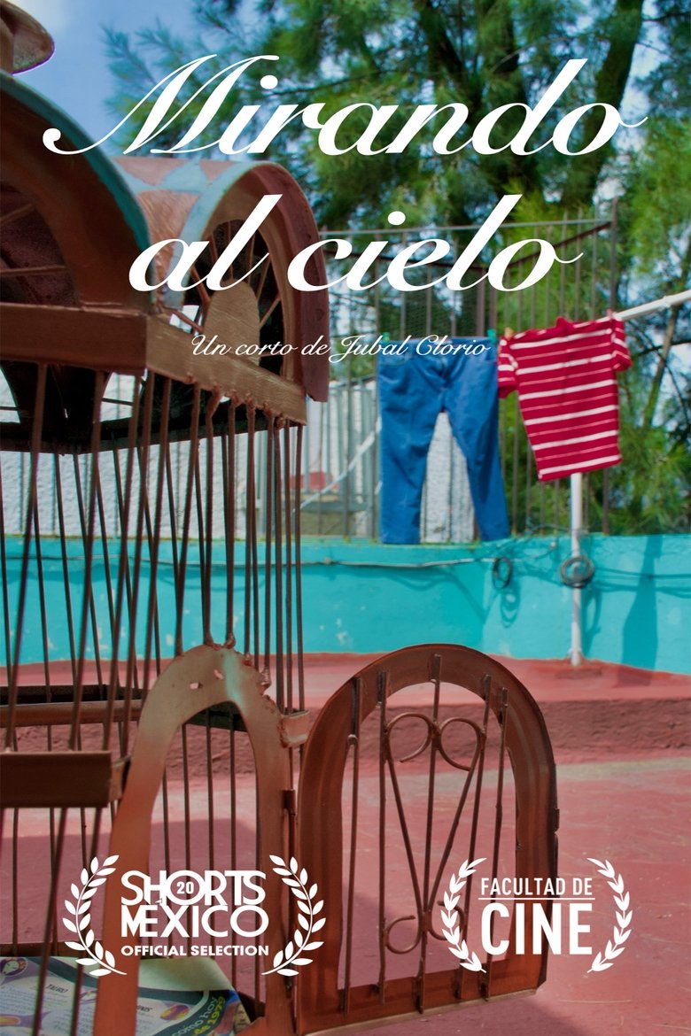 Poster of Mirando al Cielo
