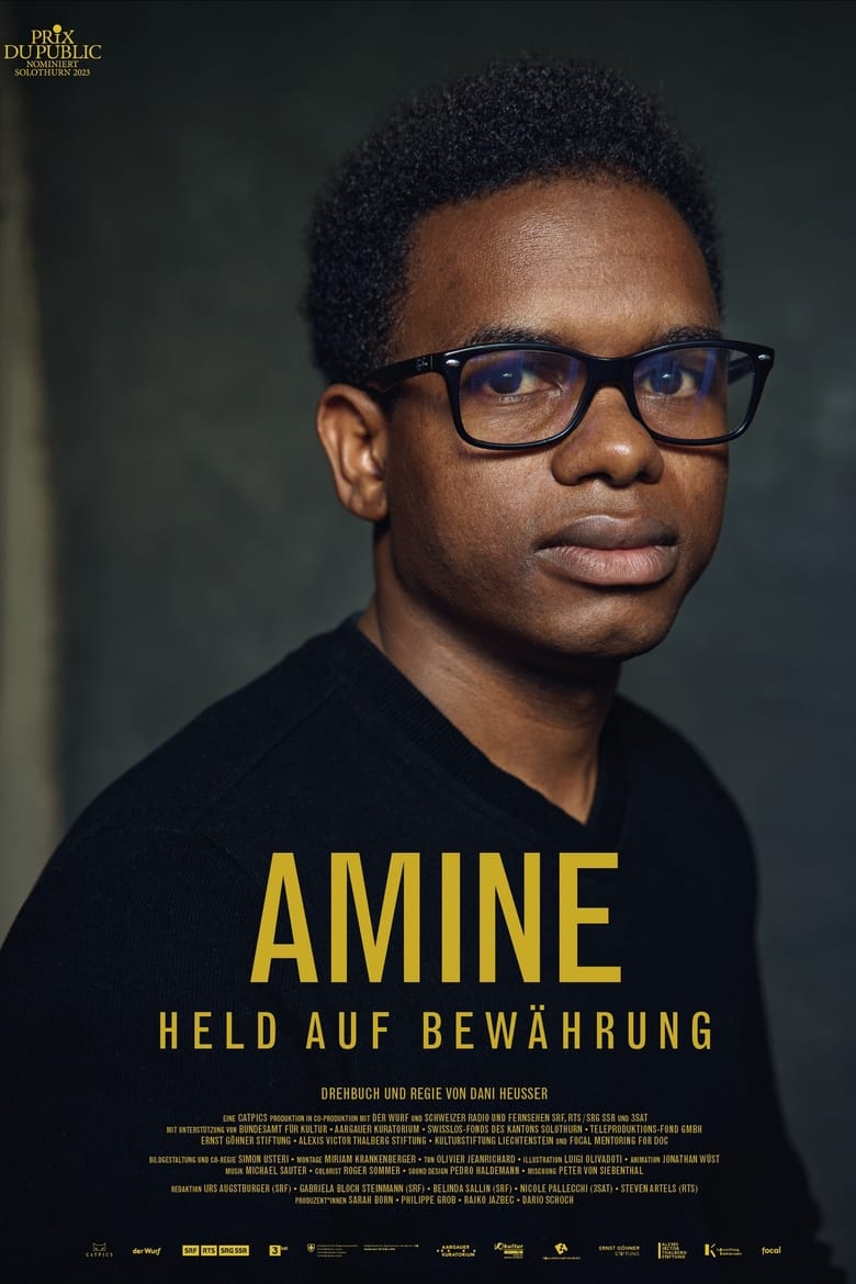 Poster of Amine – Hero on Probation