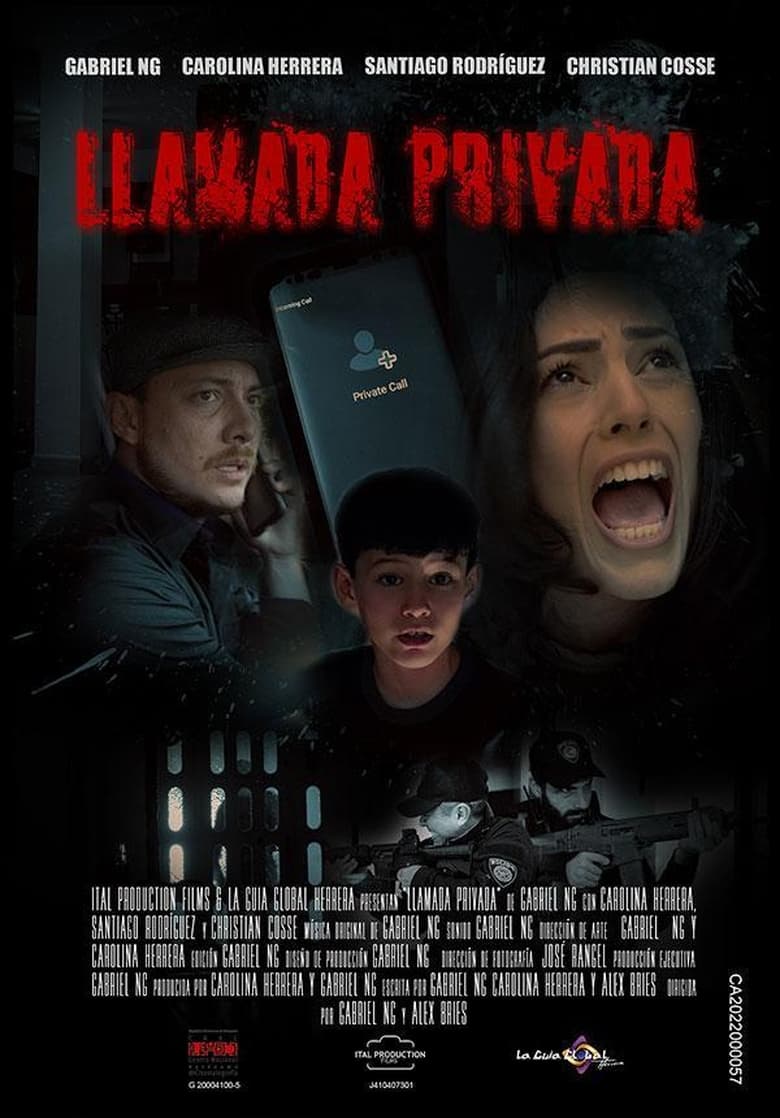 Poster of Private call