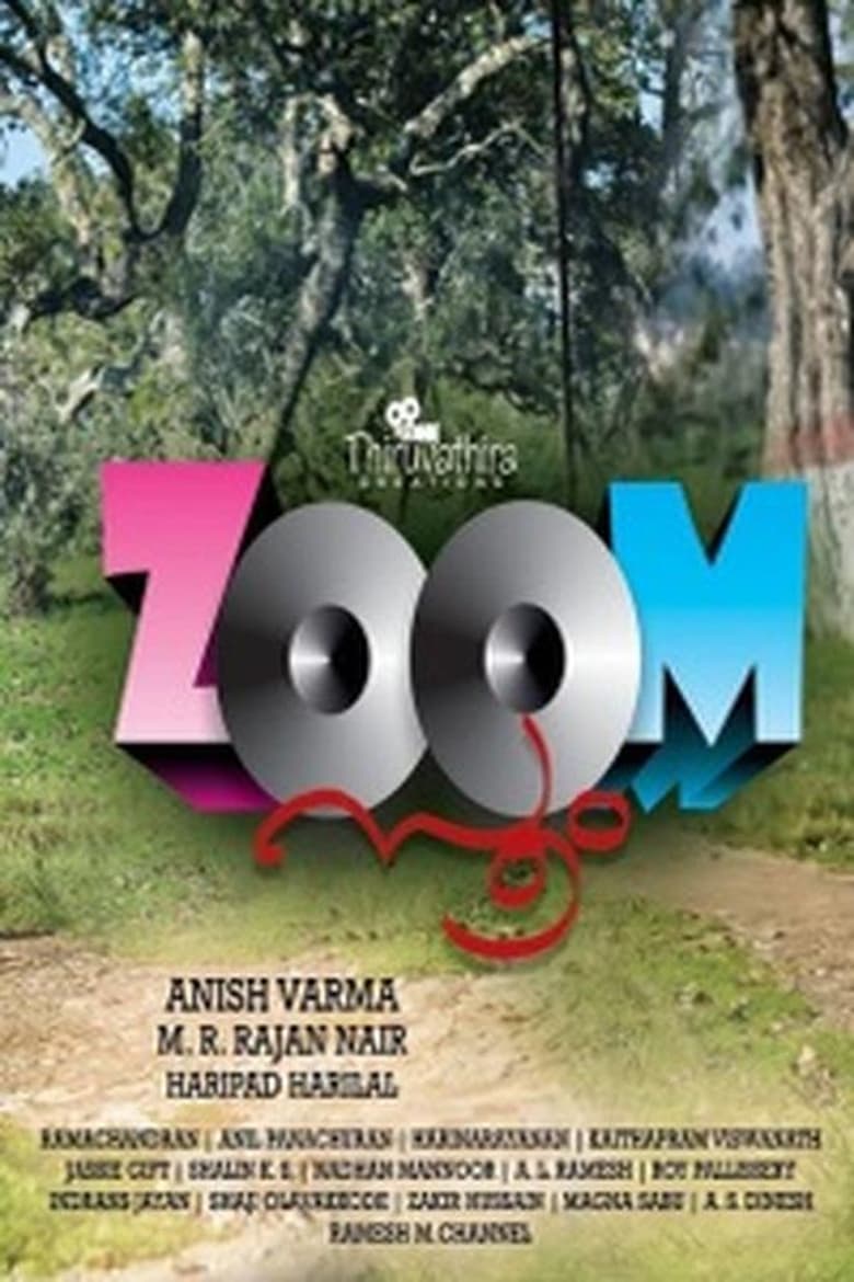 Poster of Zoom