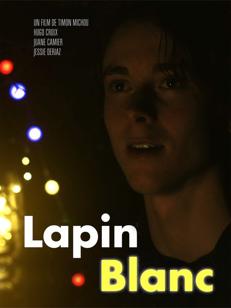 Poster of Lapin Blanc