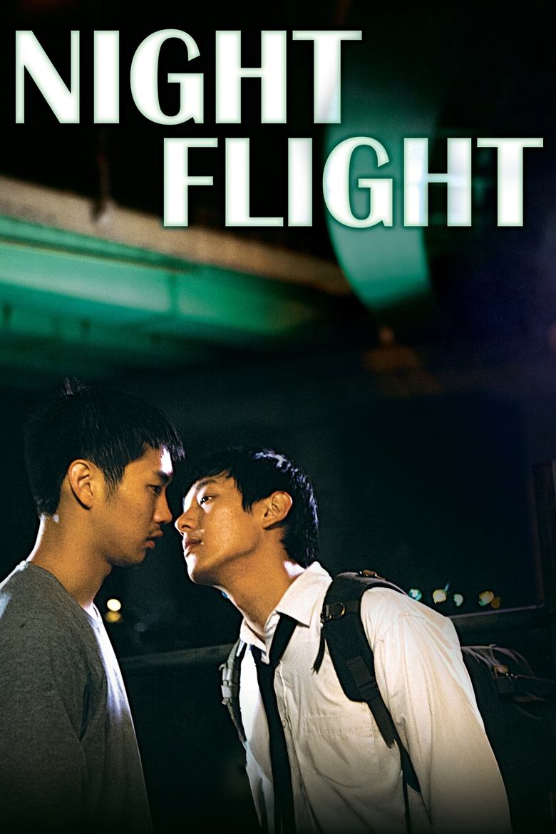 Poster of Night Flight