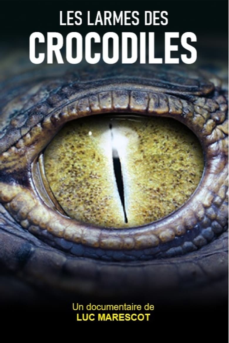 Poster of Les larmes des crocodiles