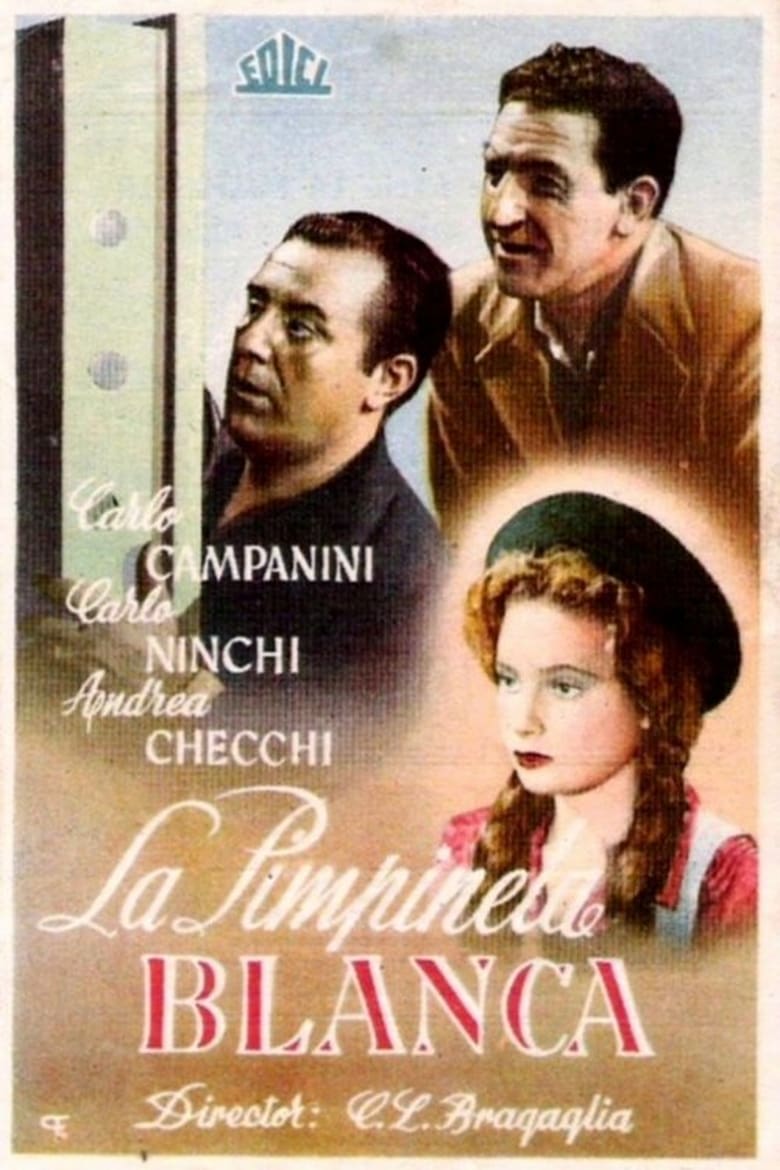 Poster of La primula bianca