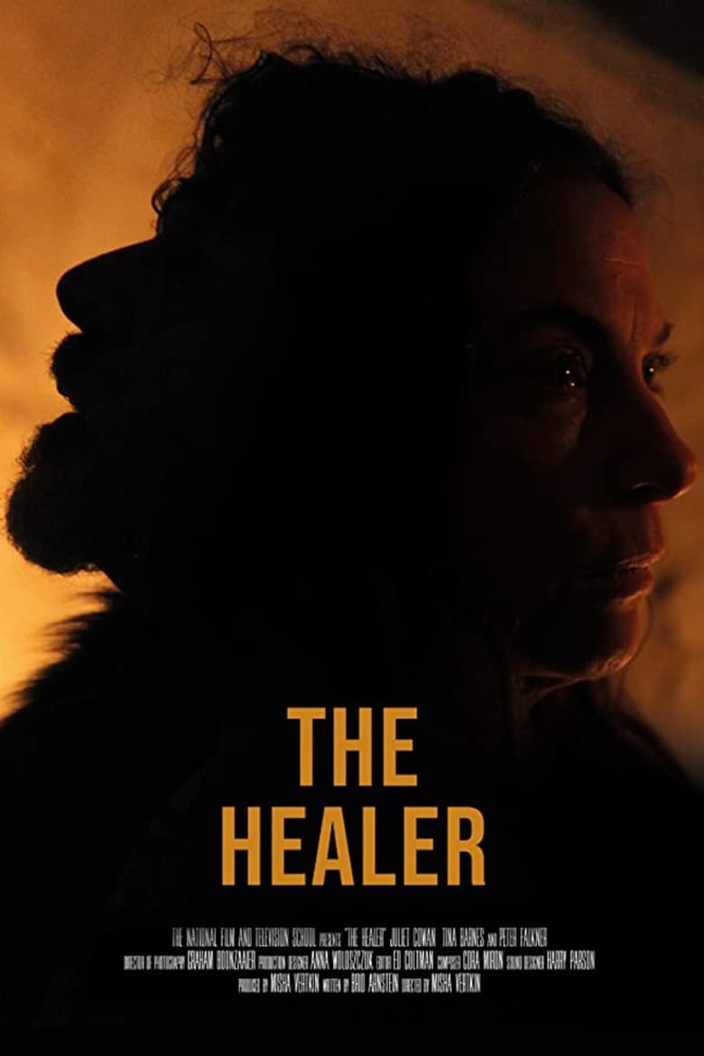 Poster of The Healer