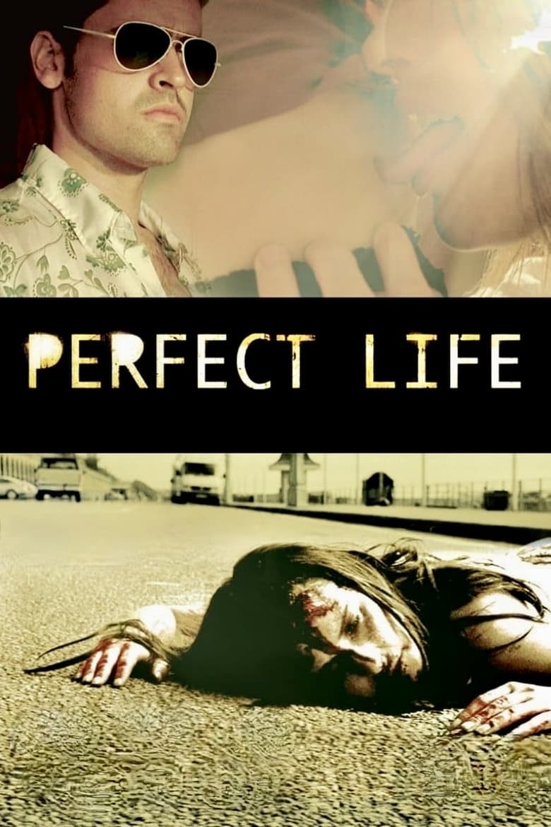 Poster of Perfect Life