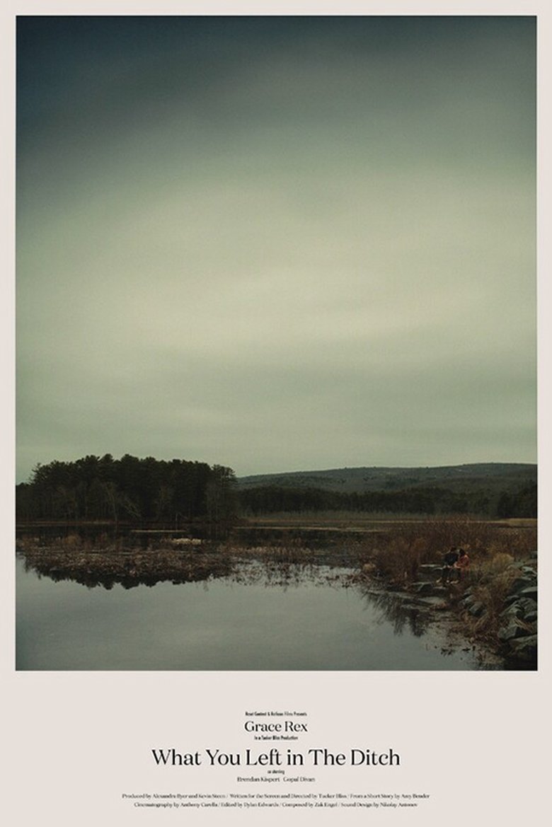 Poster of What You Left in the Ditch
