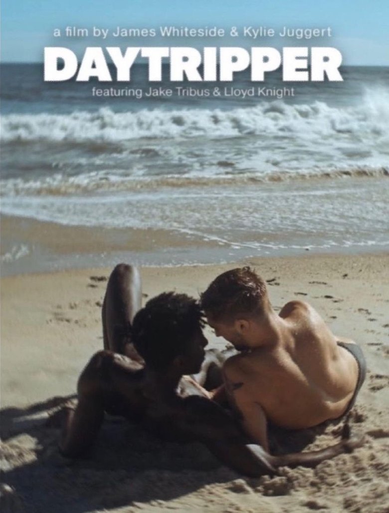 Poster of Daytripper