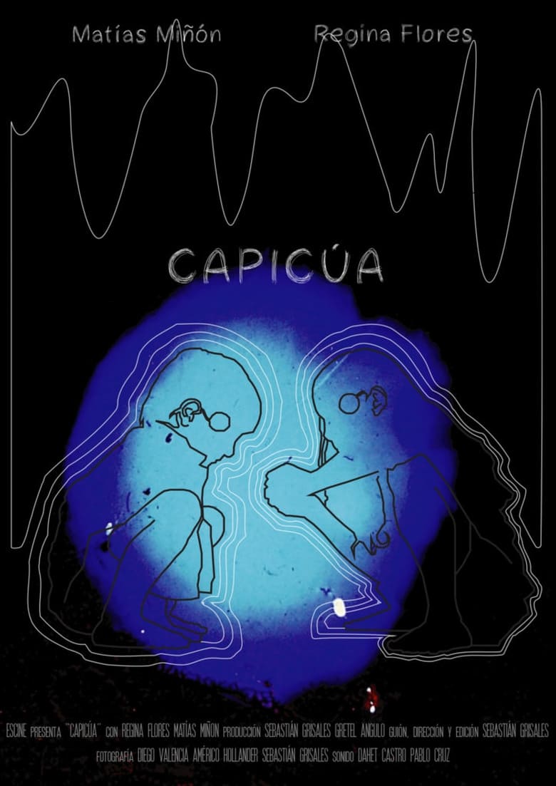 Poster of Capicúa