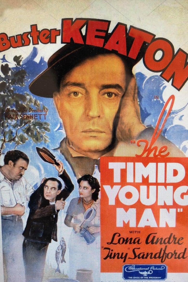 Poster of The Timid Young Man