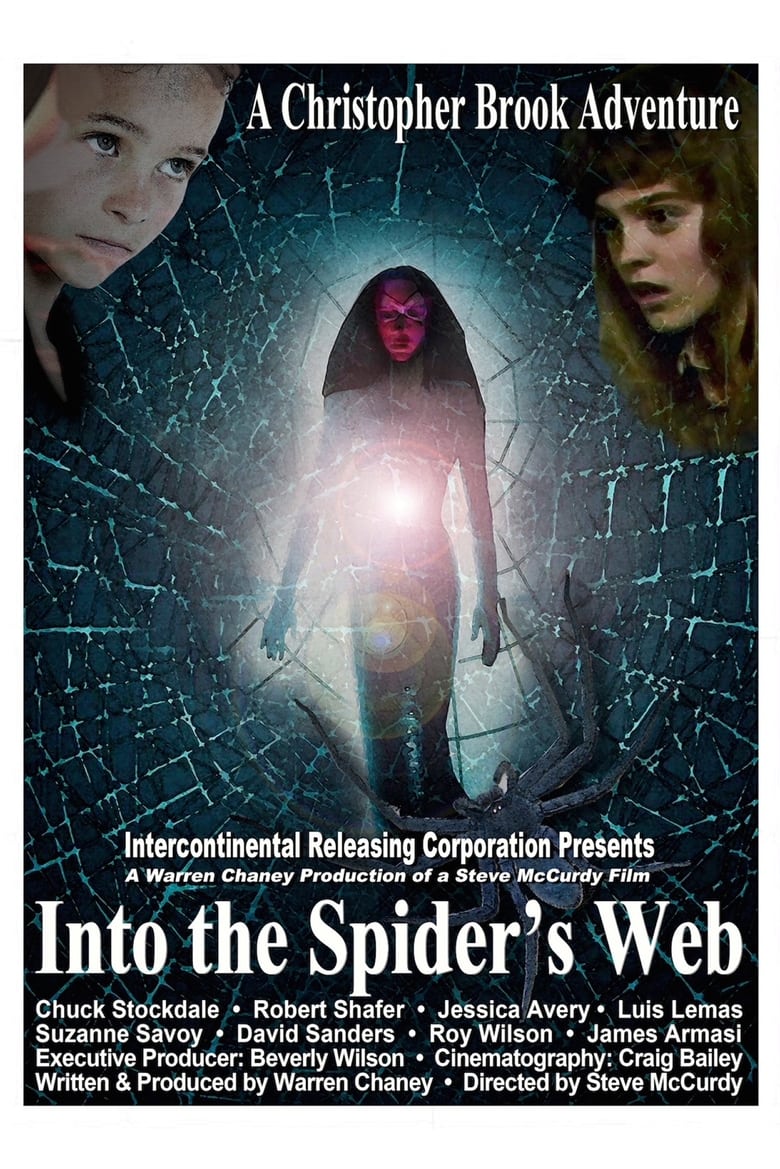 Poster of Into the Spider's Web