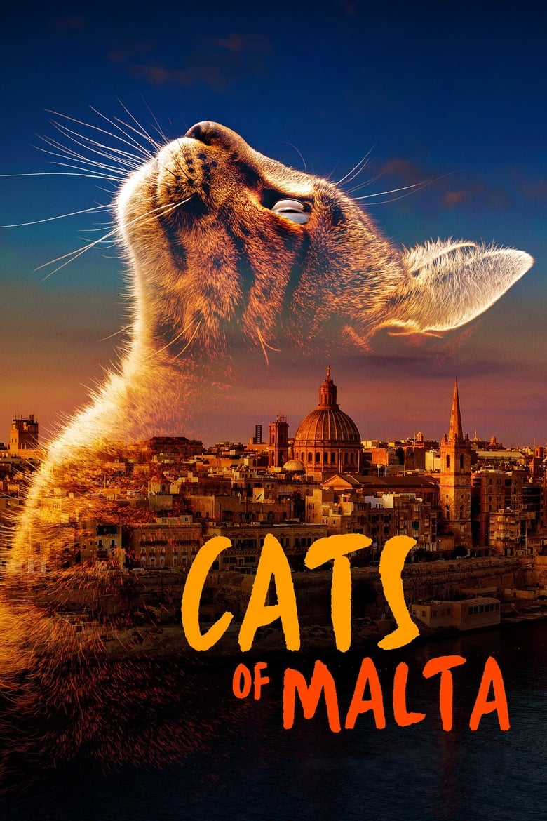 Poster of Cats of Malta