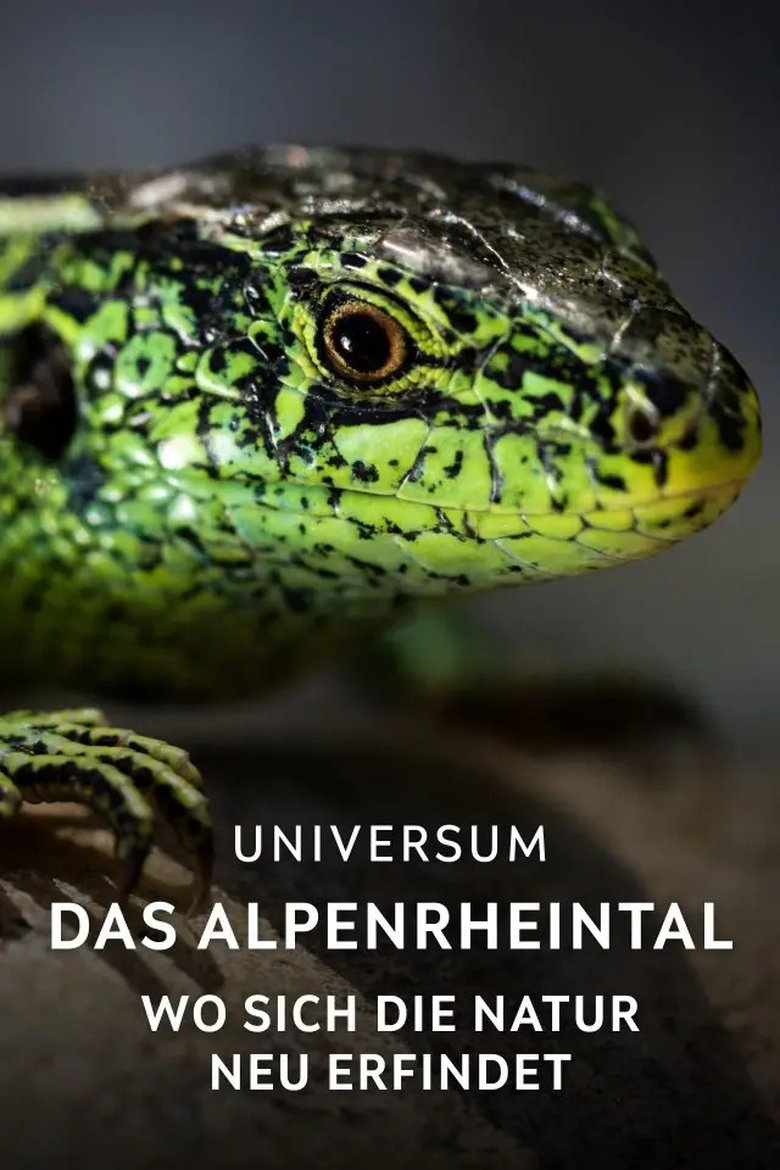Poster of Das Alpenrheintal – Wo sich die Natur neu erfindet