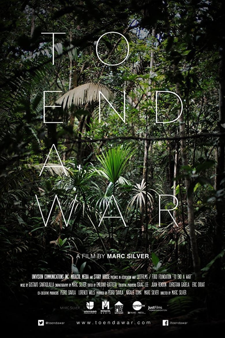 Poster of To End a War