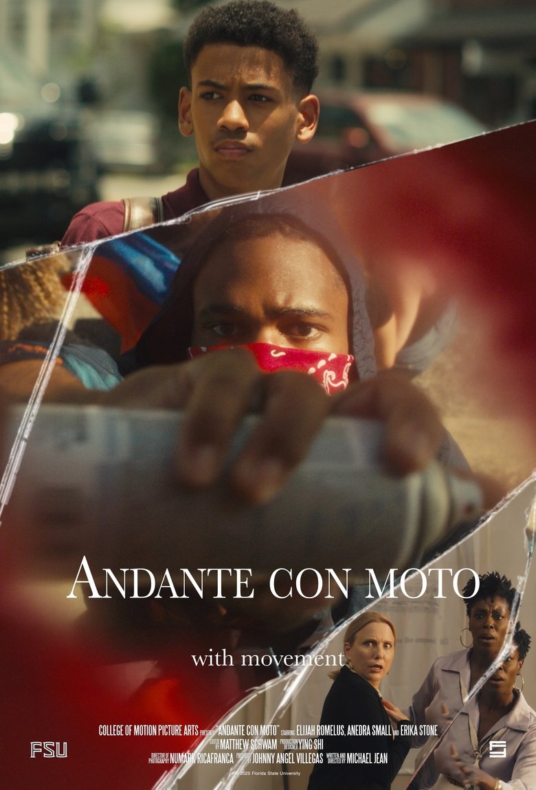 Poster of Andante con moto