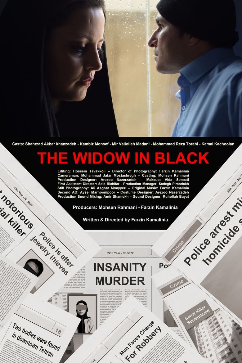 Poster of The Widow in Black