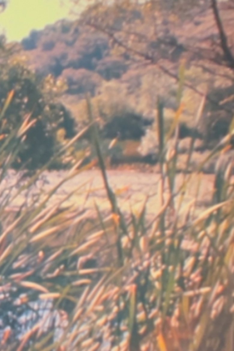 Poster of Die