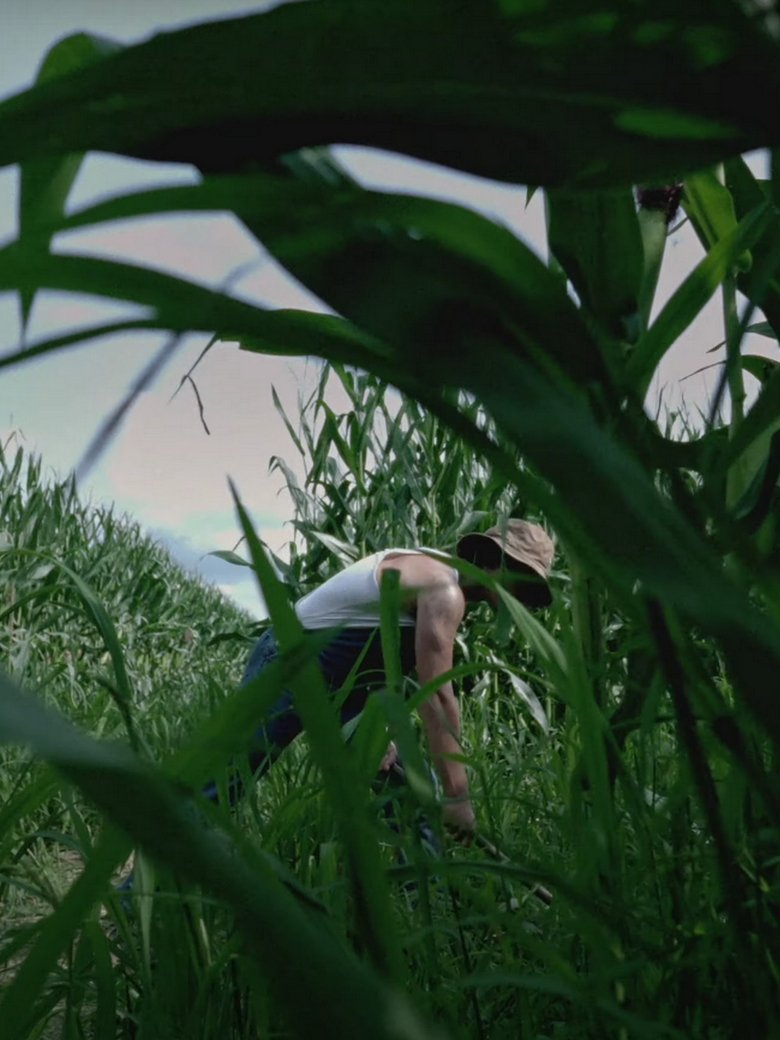 Poster of S.a.p.i.n.g.r.i.s.