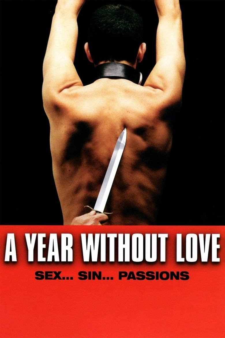 Poster of A Year Without Love