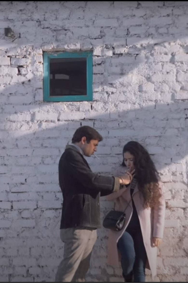 Poster of A Passenger in Love
