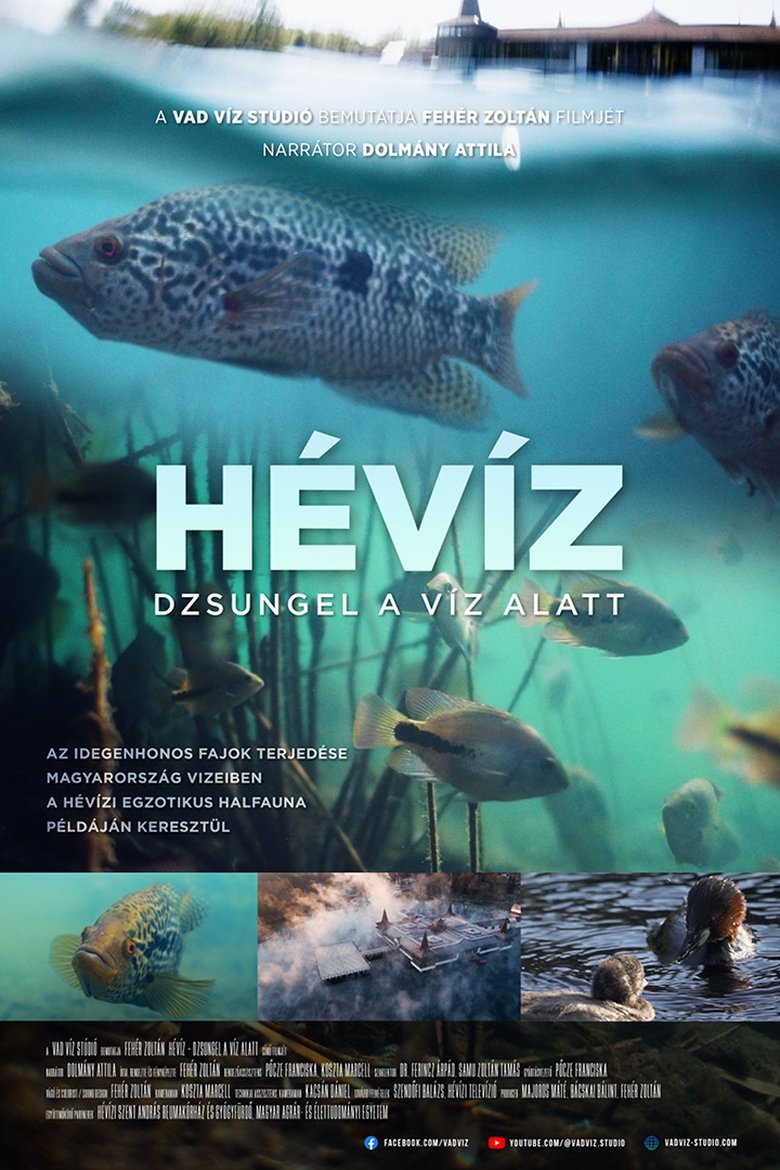 Poster of Hévíz − Dzsungel a víz alatt