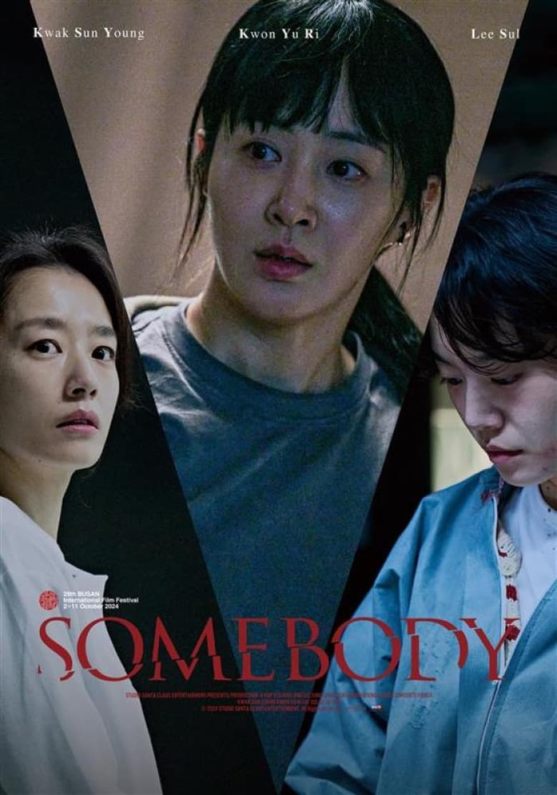 Poster of Somebody