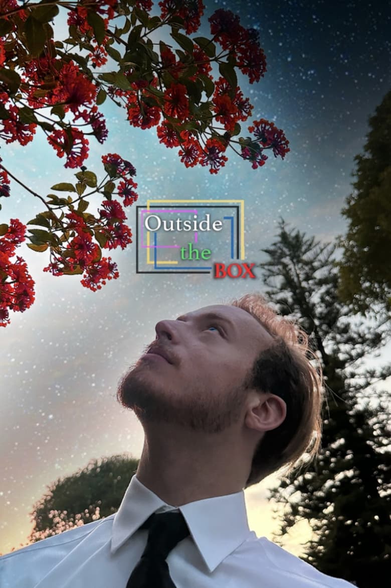 Poster of Outside the Box