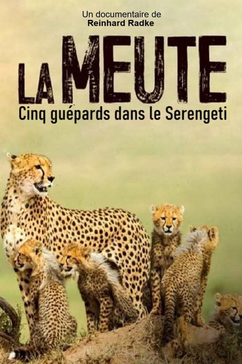 Poster of Die fünf Geparde - Gemeinsam durch die Serengeti