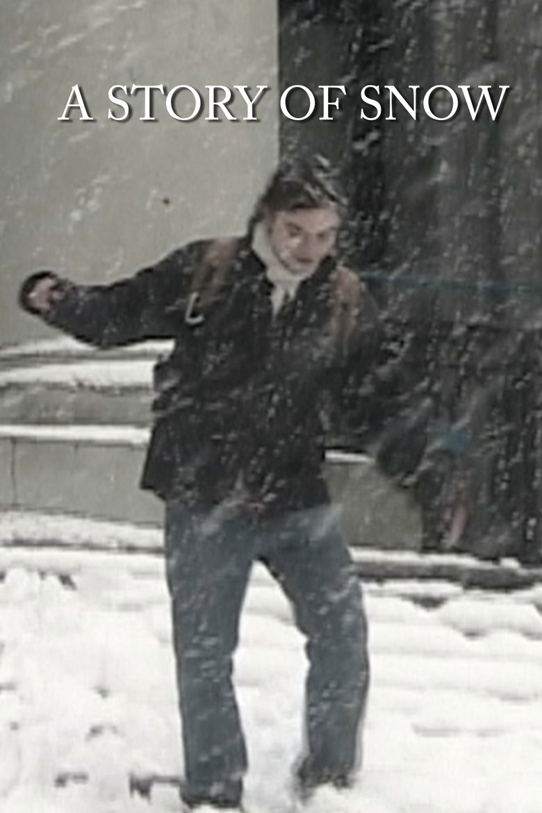 Poster of A Story of Snow