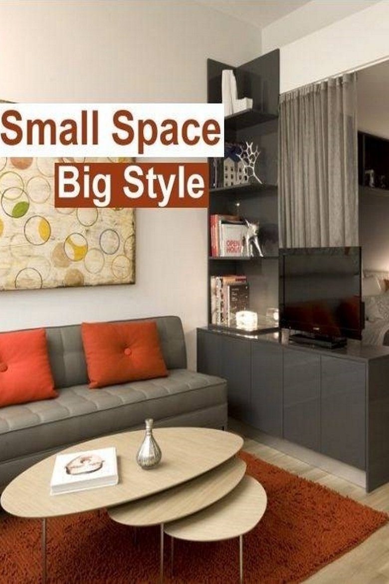 Poster of Small Space, Big Style