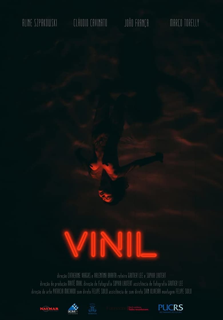 Poster of Vinyl