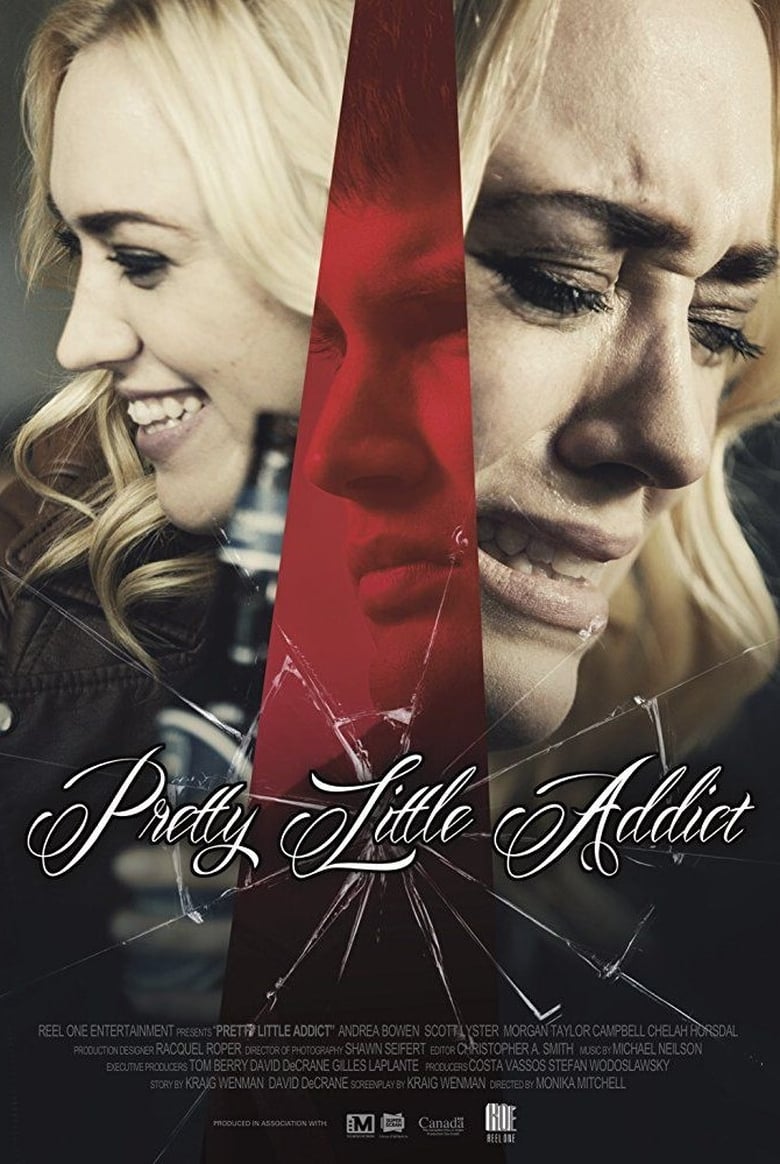 Poster of Pretty Little Addict