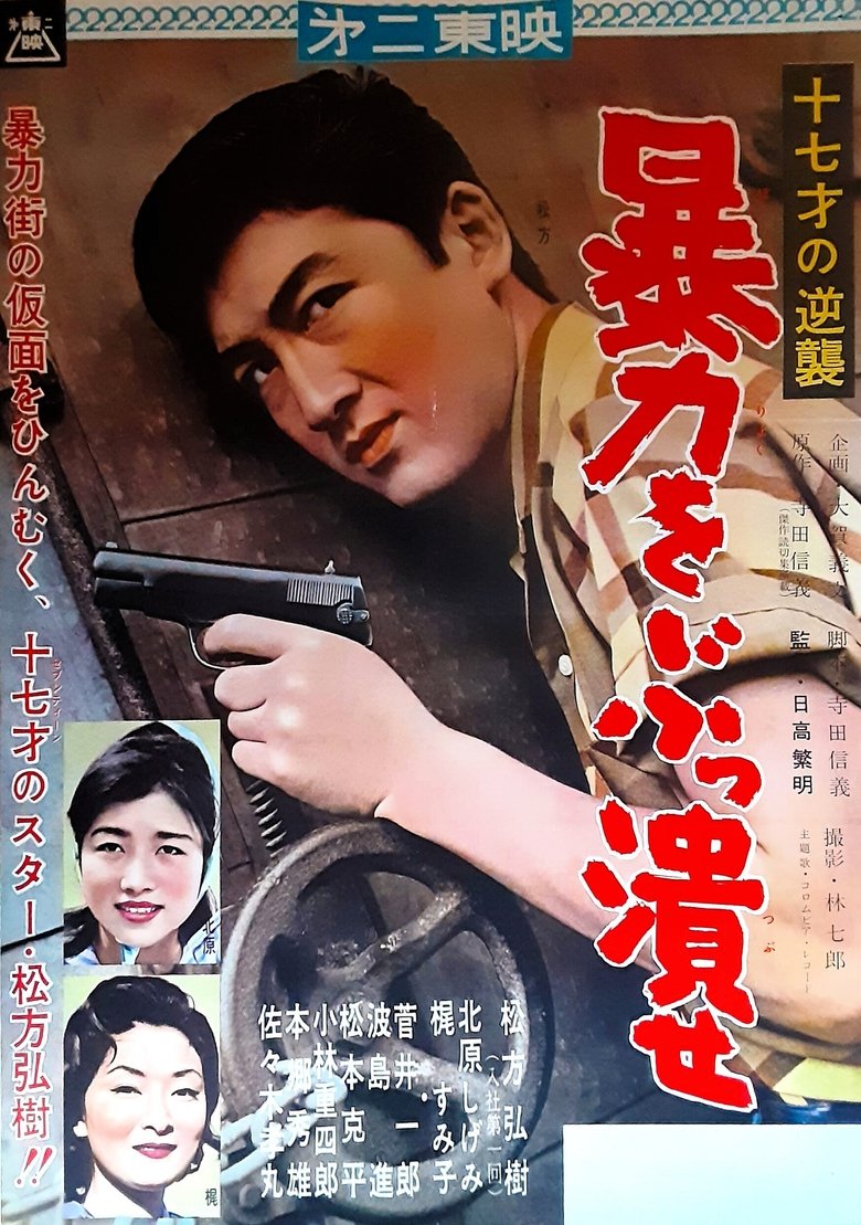Poster of 十七才の逆襲　暴力をぶっ潰せ