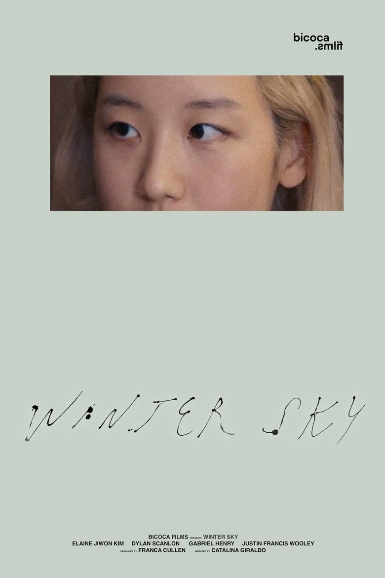 Poster of Winter Sky