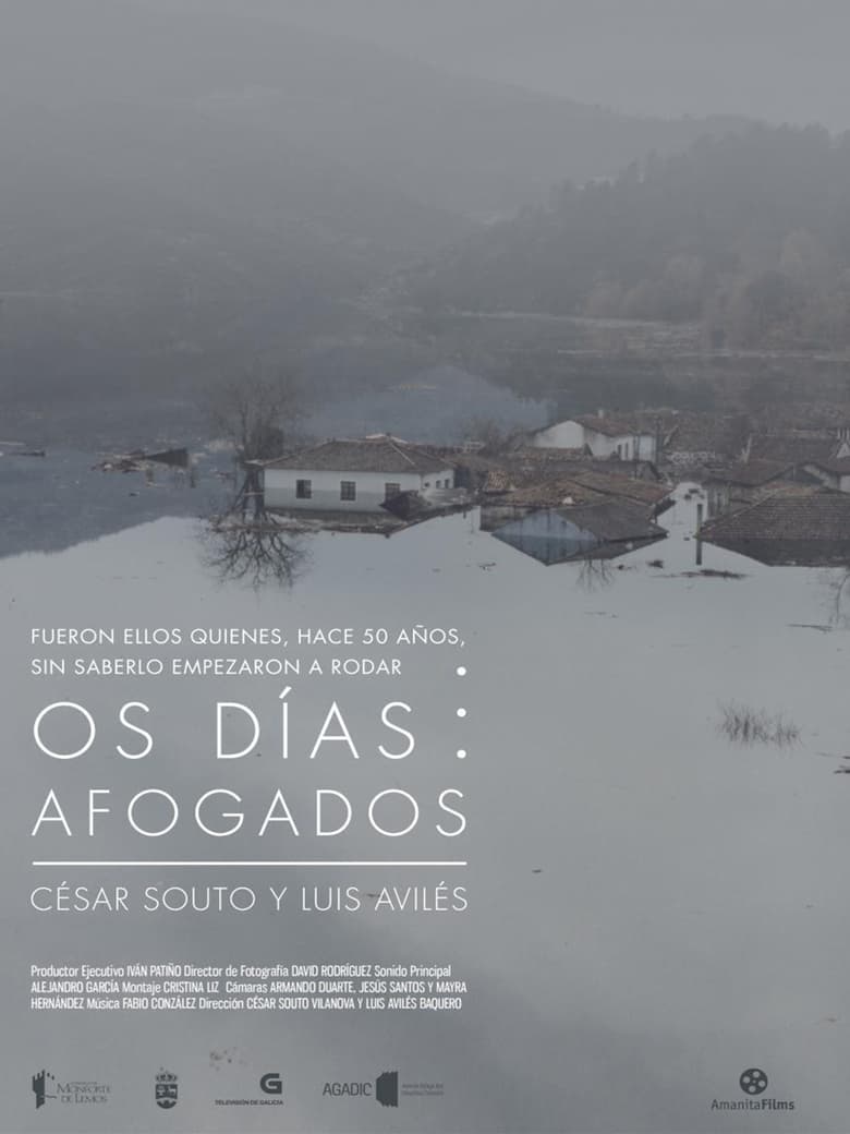 Poster of Os Días Afogados