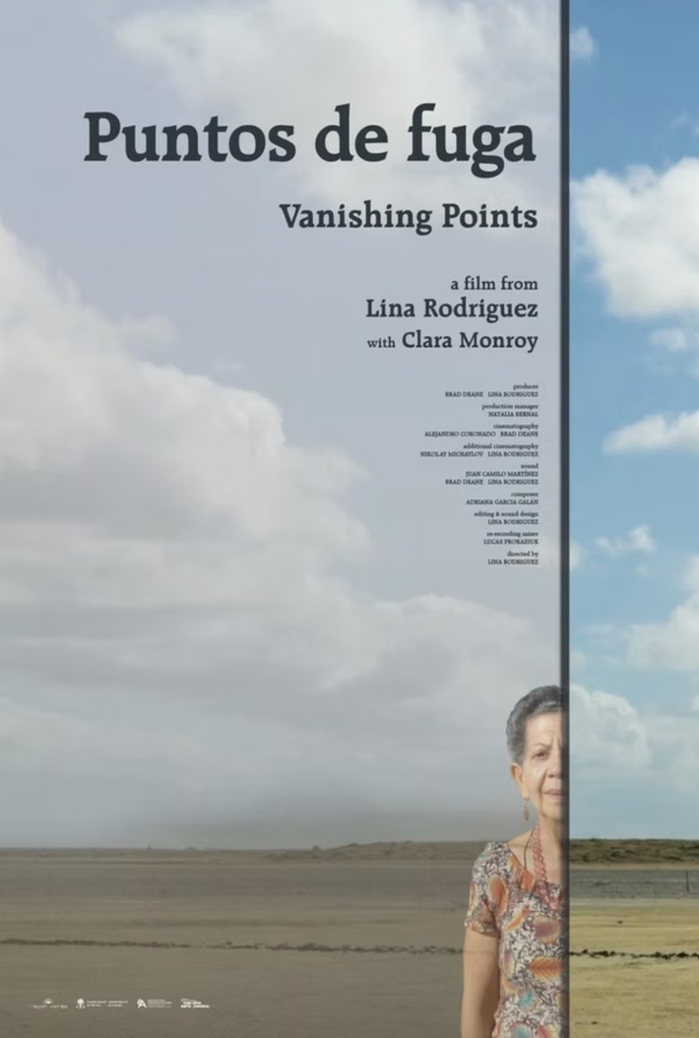 Poster of Vanishing Points