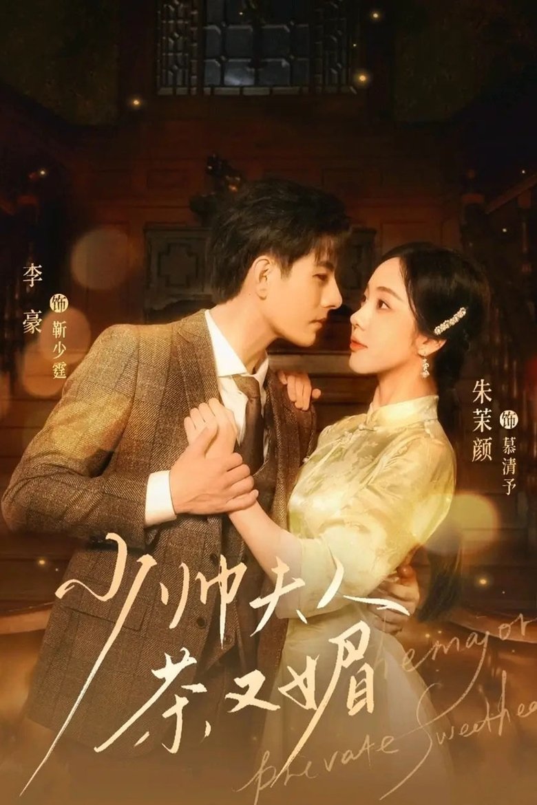 Poster of 少帅夫人茶又媚