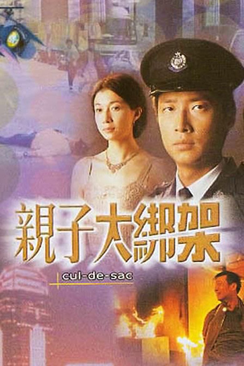 Poster of 親子大綁架