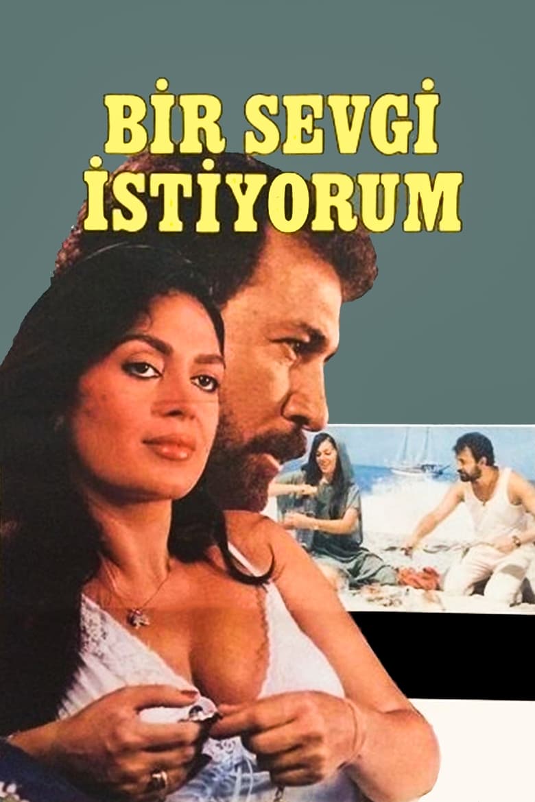 Poster of Bir Sevgi İstiyorum