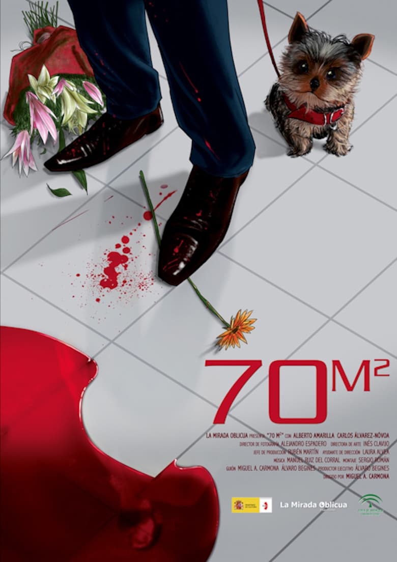 Poster of 70m2