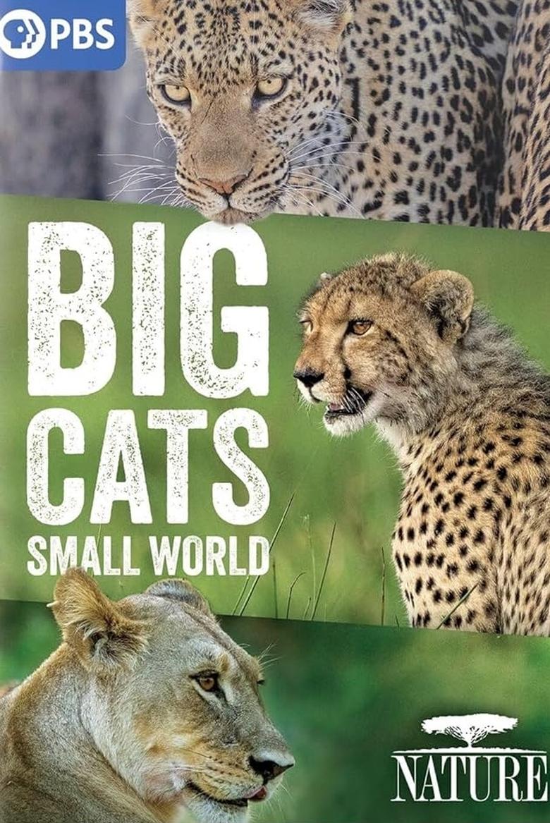 Poster of Episodes in Big Cats, Small World - Season 1 - Season 1