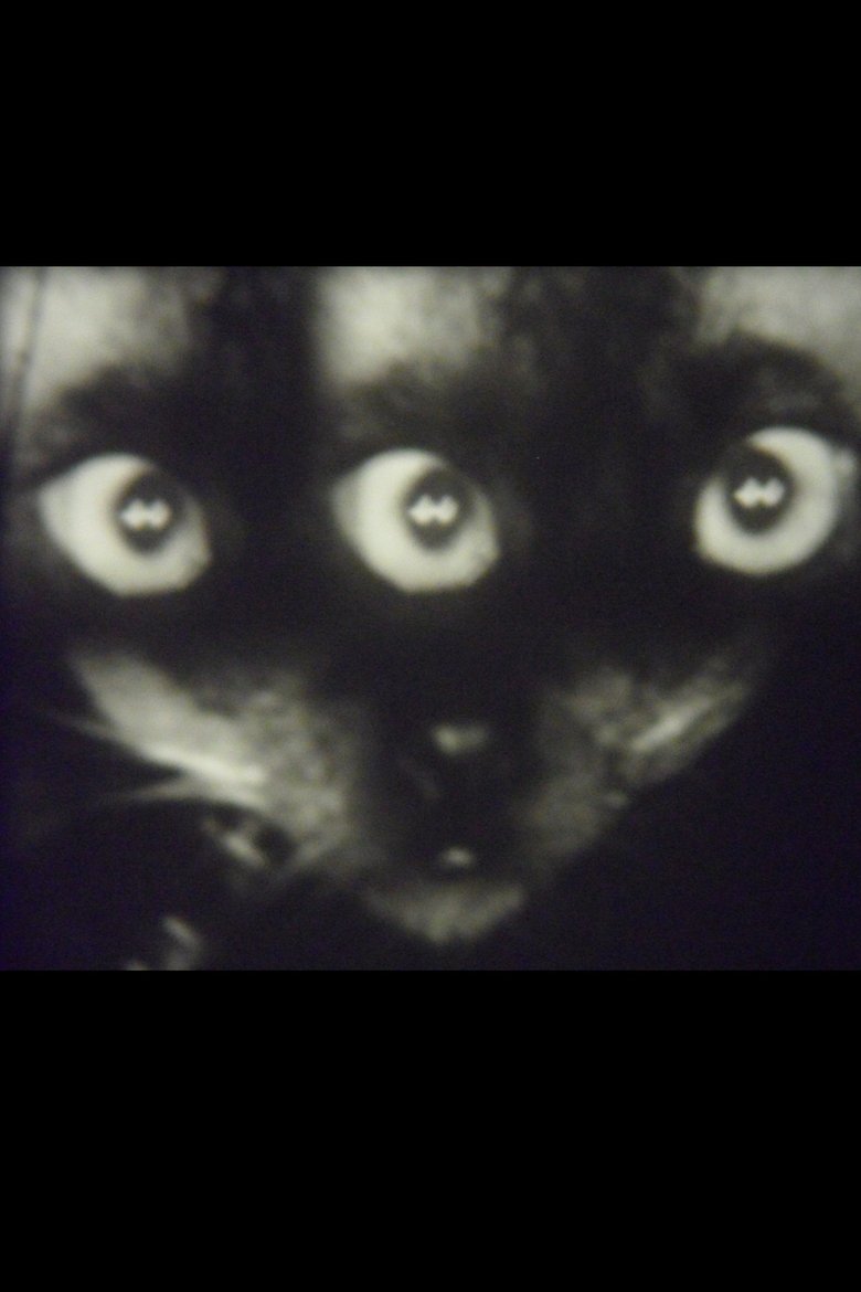 Poster of Wee Gee’s Camera Magic