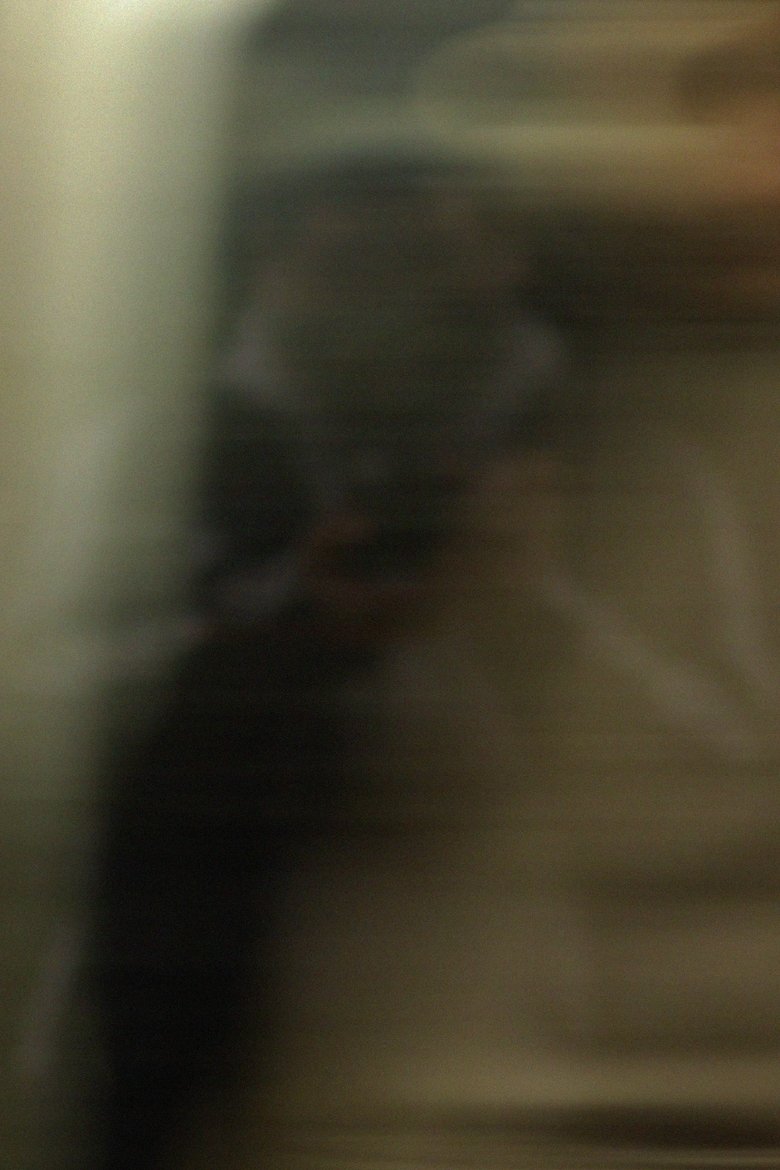 Poster of next stop is...