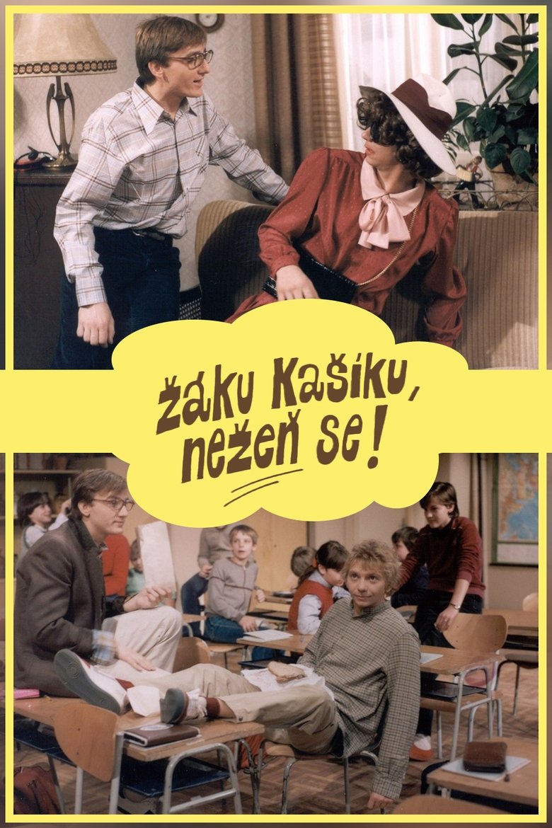 Poster of Žáku Kašíku, nežeň se!