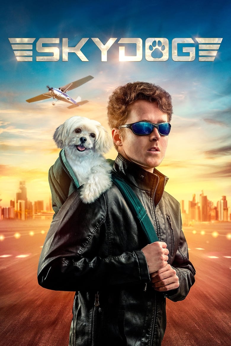 Poster of Skydog