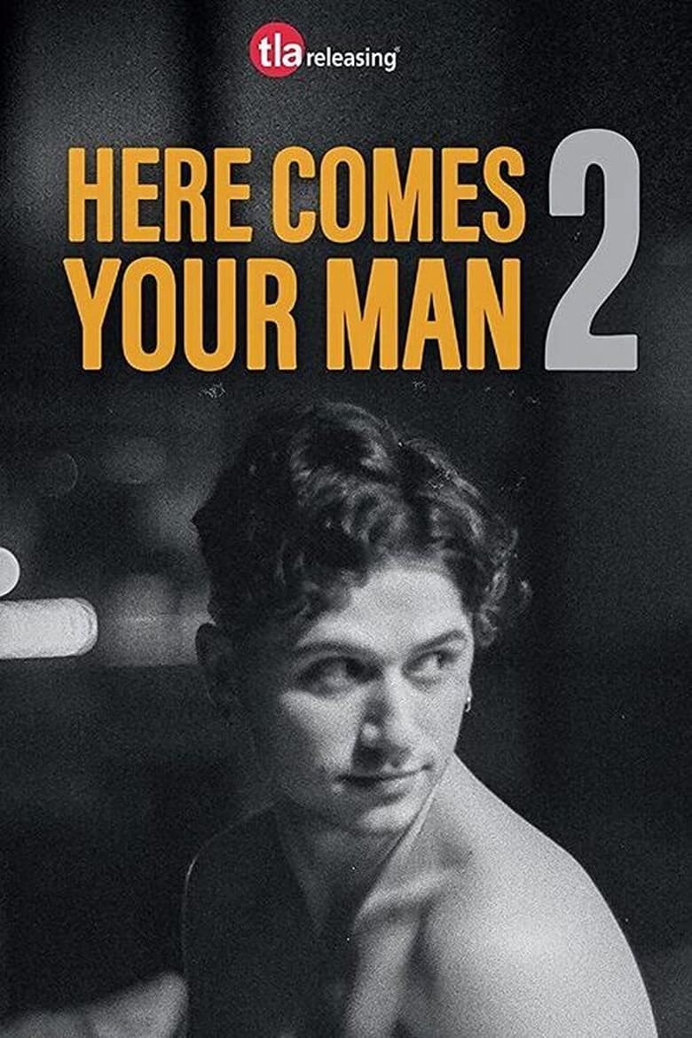 Poster of Here Comes Your Man 2